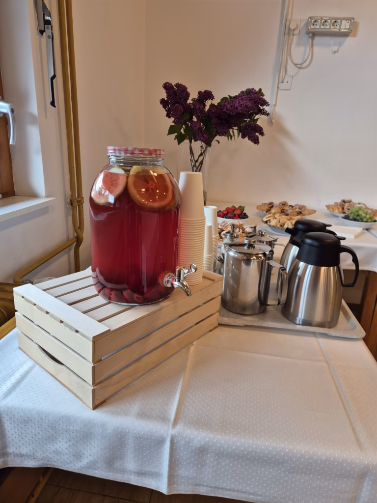 Domač sok